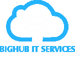 BigHub Logo