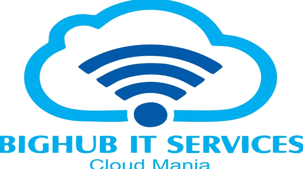 BigHub IT Services Logo
